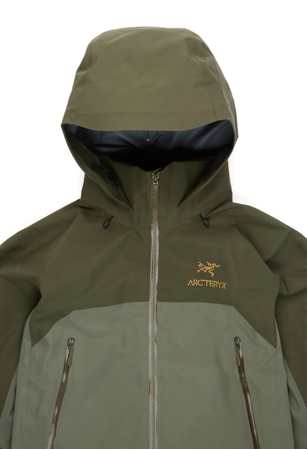 Arc'teryx Men's Beta AR Jacket - Forage / Tatsu