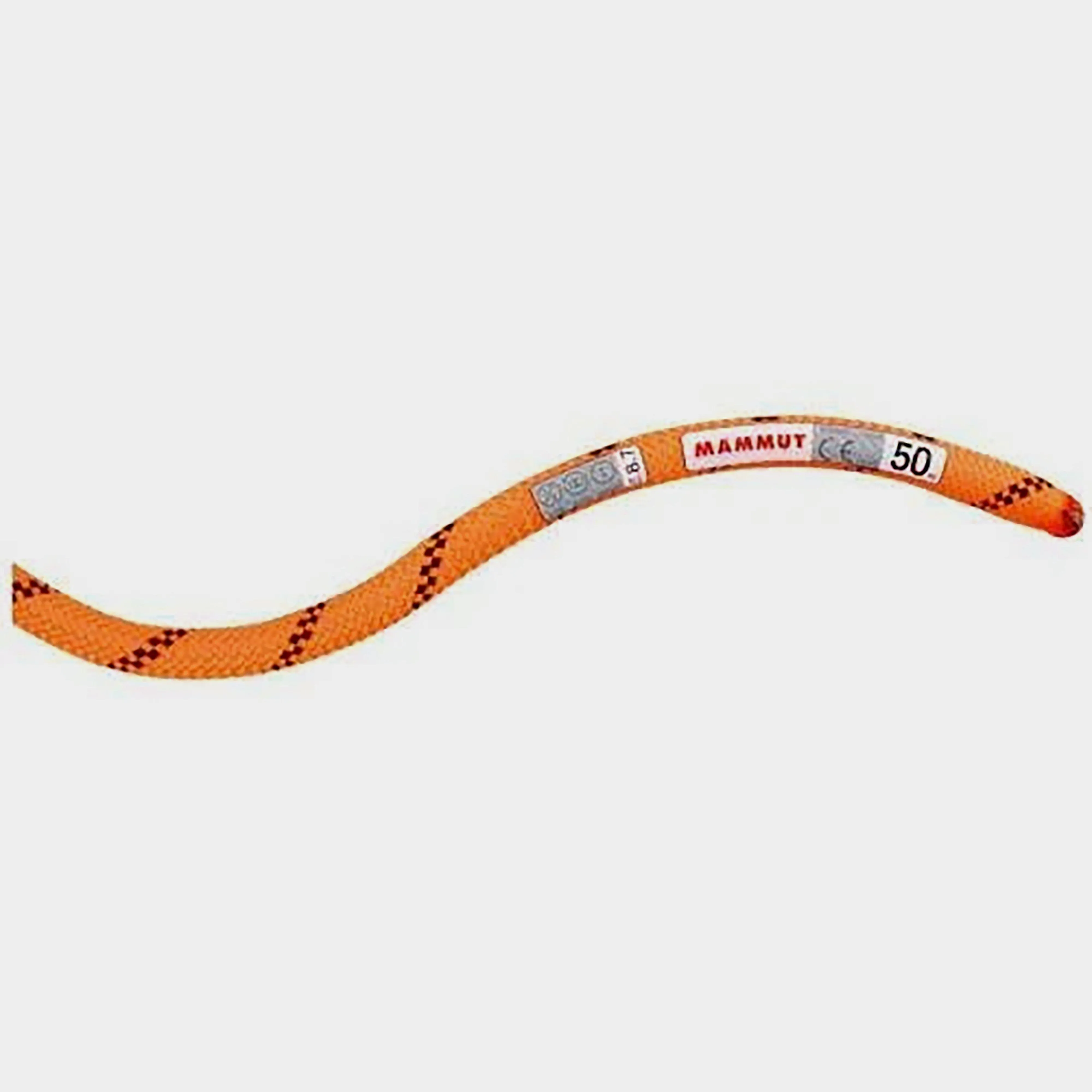 Mammut Alpine Dry 8.0 Rope 50m | Millets