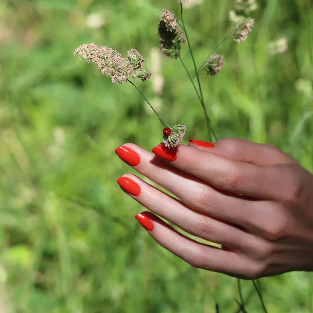 Manucurist Green - Red coral Nail polish