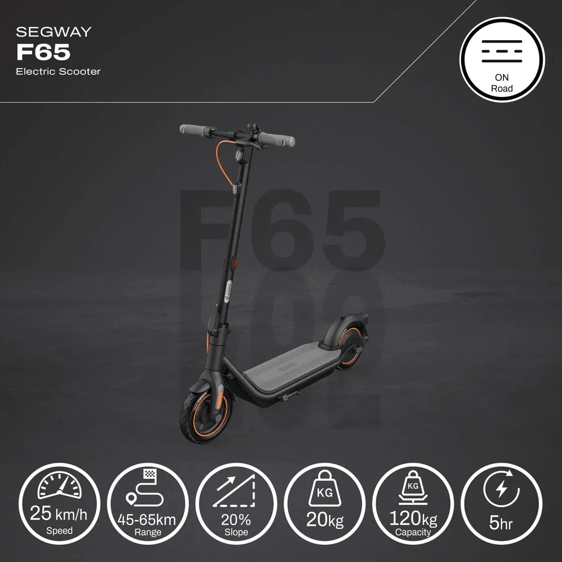 Segway Ninebot KickScooter F65 Electric Scooter Black